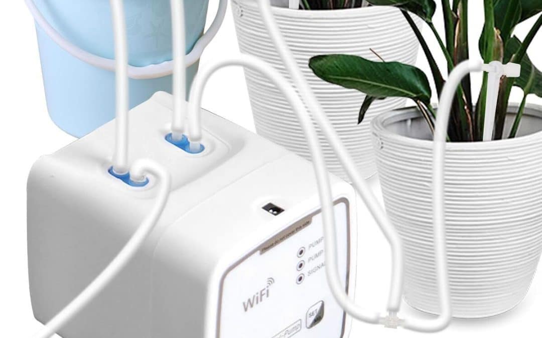 Test : kit d'irrigation goutte à goutte WiFi à double canal